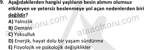 ata sosyalhizmlisans 2375 9