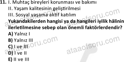 ata sosyalhizmlisans 2375 11