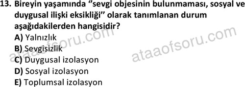 ata sosyalhizmlisans 2375 13