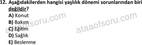ata sosyalhizmlisans 2375 12