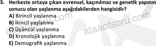 ata sosyalhizmlisans 2375 3