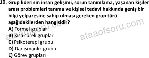 ata sosyalhizmlisans 2376 10