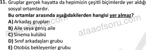 ata sosyalhizmlisans 2376 11