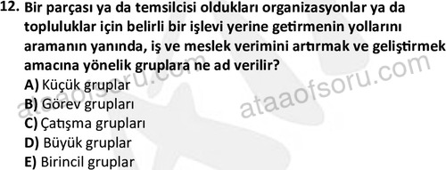 ata sosyalhizmlisans 2376 12