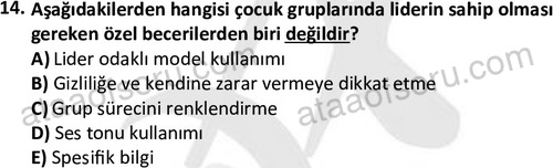 ata sosyalhizmlisans 2376 14