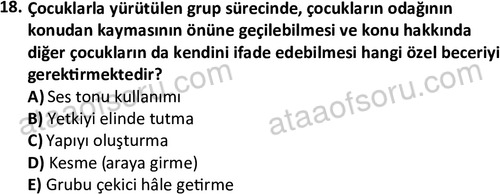 ata sosyalhizmlisans 2376 18