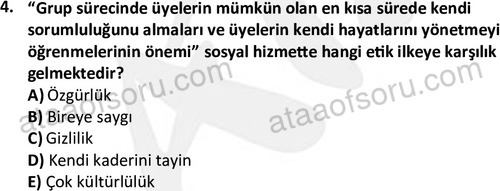 ata sosyalhizmlisans 2376 4