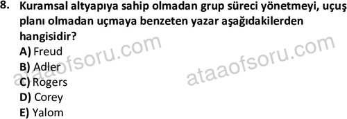ata sosyalhizmlisans 2376 8