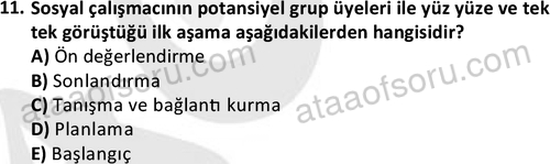 ata sosyalhizmlisans 2376 11
