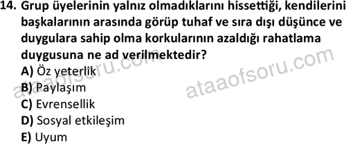ata sosyalhizmlisans 2376 14