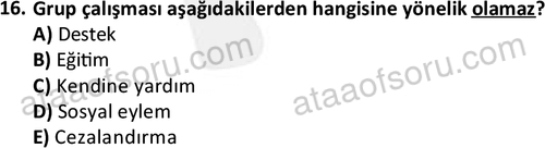 ata sosyalhizmlisans 2376 16