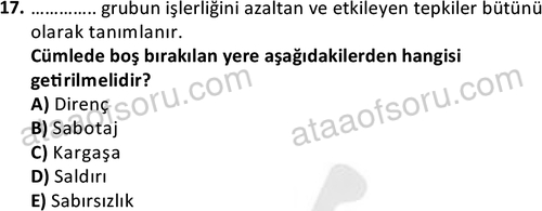 ata sosyalhizmlisans 2376 17