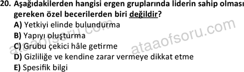 ata sosyalhizmlisans 2376 20