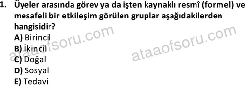 ata sosyalhizmlisans 2376 1