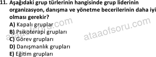 ata sosyalhizmlisans 2376 11