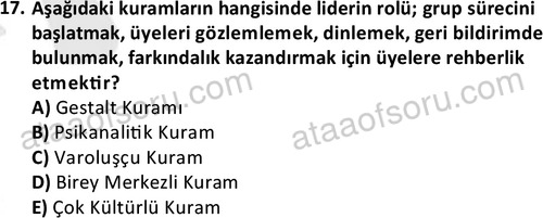 ata sosyalhizmlisans 2376 17
