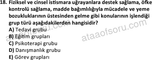 ata sosyalhizmlisans 2376 18