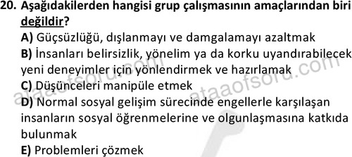 ata sosyalhizmlisans 2376 20