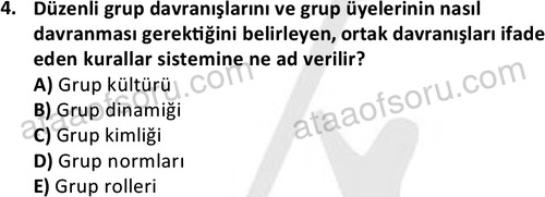 ata sosyalhizmlisans 2376 4