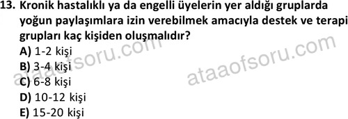 ata sosyalhizmlisans 2376 13
