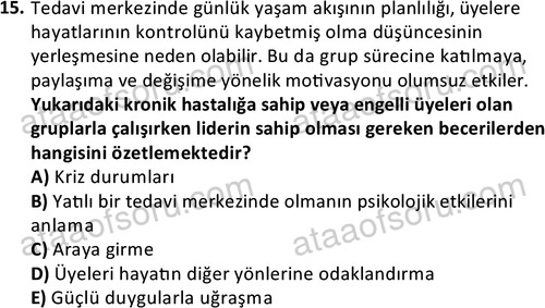 ata sosyalhizmlisans 2376 15
