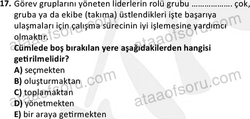 ata sosyalhizmlisans 2376 17