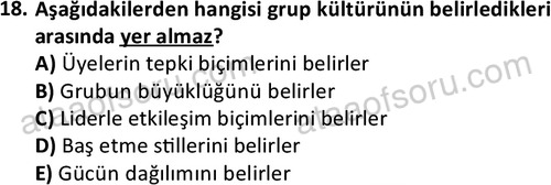 ata sosyalhizmlisans 2376 18