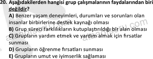 ata sosyalhizmlisans 2376 20