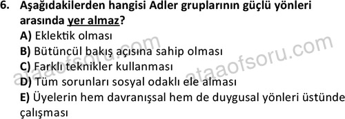 ata sosyalhizmlisans 2376 6