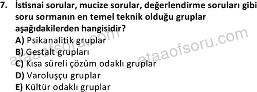 ata sosyalhizmlisans 2376 7