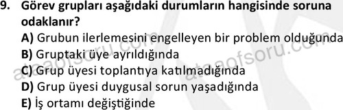 ata sosyalhizmlisans 2376 9