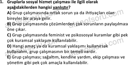 ata sosyalhizmlisans 2376 1