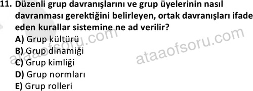 ata sosyalhizmlisans 2376 11