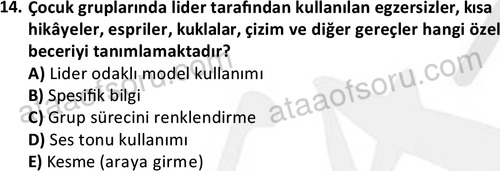 ata sosyalhizmlisans 2376 14