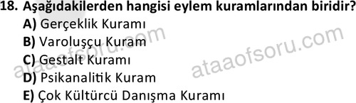 ata sosyalhizmlisans 2376 18