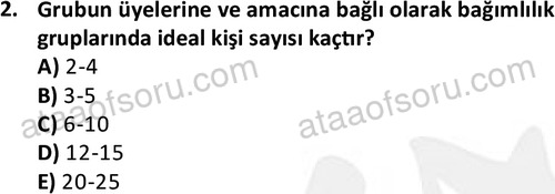 ata sosyalhizmlisans 2376 2