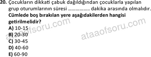ata sosyalhizmlisans 2376 20