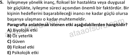 ata sosyalhizmlisans 2376 5