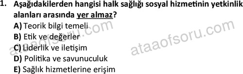 ata sosyalhizmlisans 2377 1