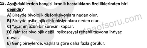 ata sosyalhizmlisans 2377 15