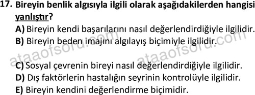 ata sosyalhizmlisans 2377 17