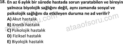 ata sosyalhizmlisans 2377 18