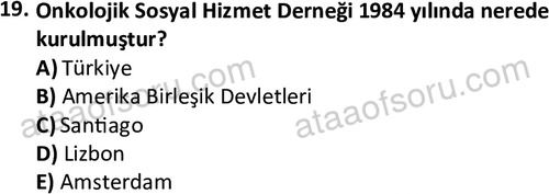 ata sosyalhizmlisans 2377 19