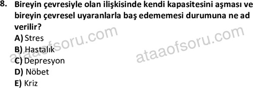 ata sosyalhizmlisans 2377 8
