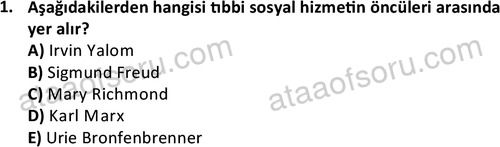 ata sosyalhizmlisans 2377 1