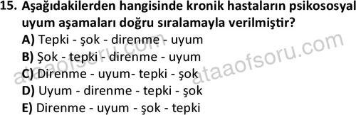 ata sosyalhizmlisans 2377 15