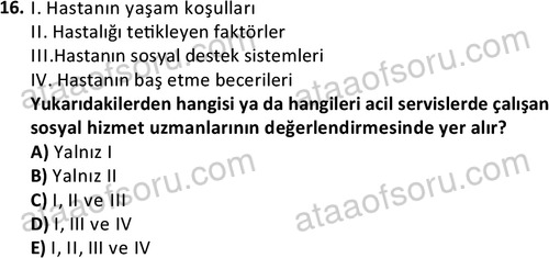 ata sosyalhizmlisans 2377 16