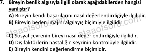 ata sosyalhizmlisans 2377 7