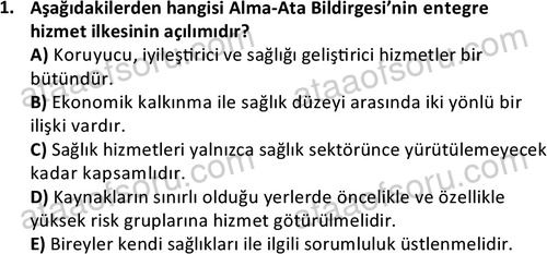 ata sosyalhizmlisans 2377 1