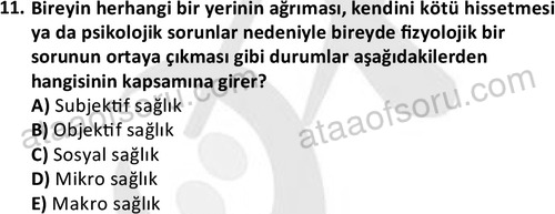 ata sosyalhizmlisans 2377 11